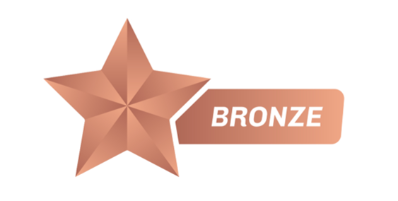 Bronze MGC Grading Service