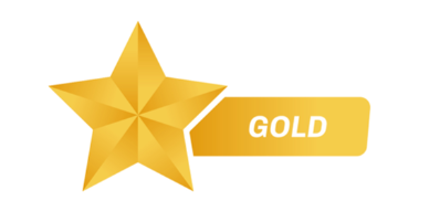 Bronze MGC Grading Service