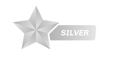 Bronze MGC Grading Service